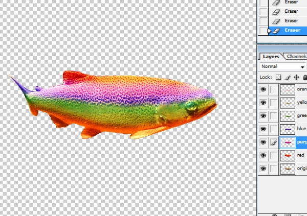 Creation of Colorful fish?: Step 10